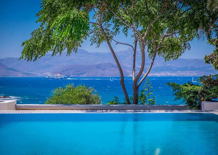 Montana * ستيليدا