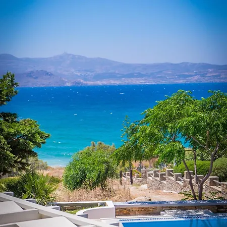 Montana * ステリダ