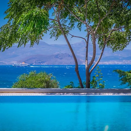 Montana * ステリダ